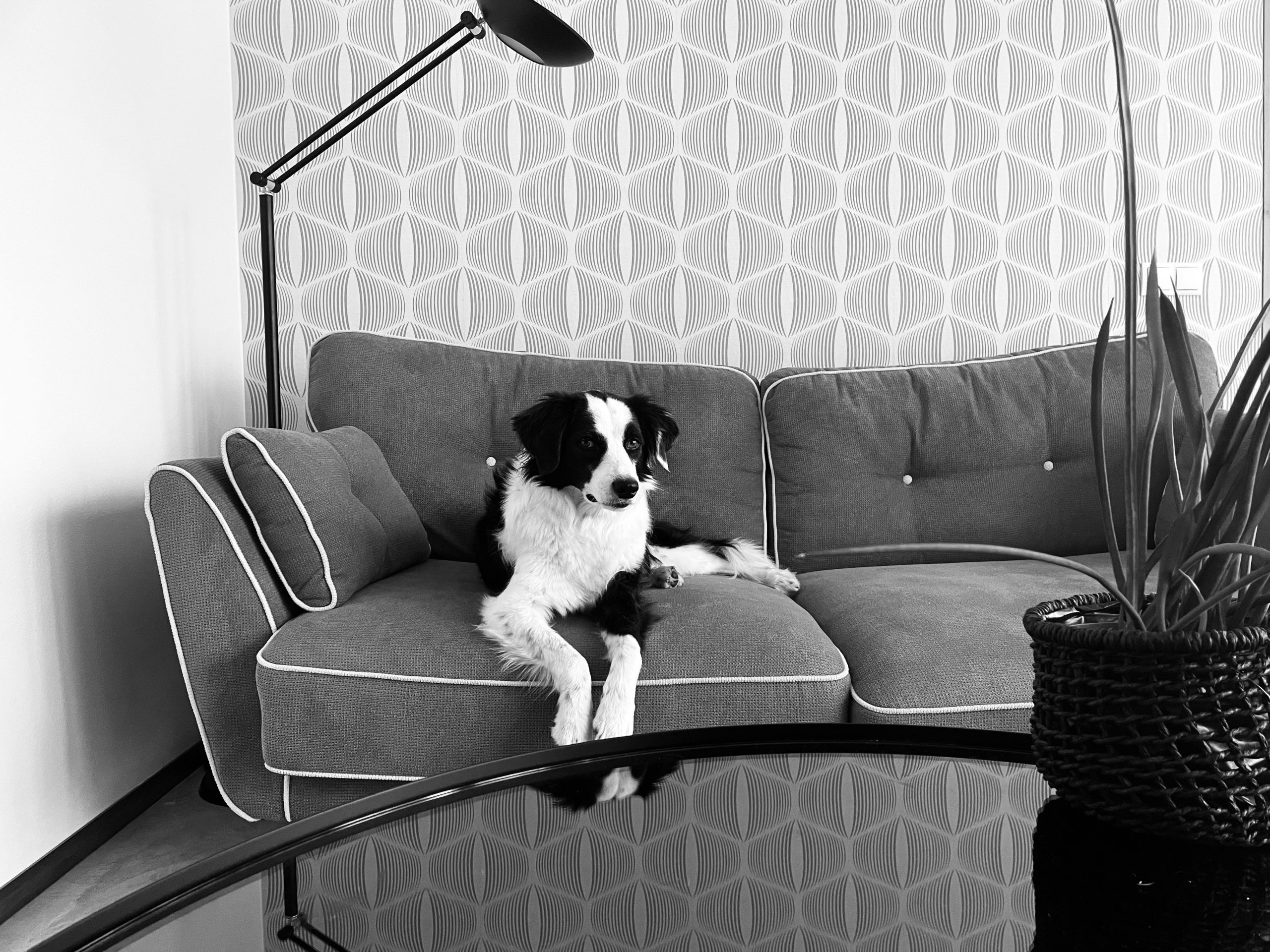 Das Tierzimmer